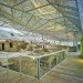 amanncanovasmaruri, archaeology architecture, Cartagena, Cartagena green building, Spain Green building