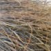 Olga Ziemska, Sculpture, nature art, natural art, Stillness in Motion