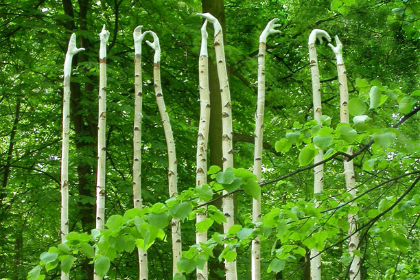 Olga Ziemska, Sculpture, nature art, natural art, Listen