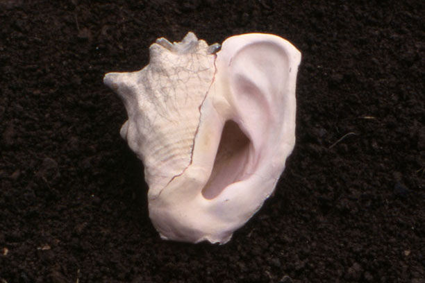 Olga Ziemska, Sculpture, nature art, natural art, How i learned to listen...