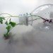 bottle planters, recycled bottle planters, hanging planters, diy planters, how to make a bottle planter, soda bottle planter, recycled materials, green gardening, eco gardening