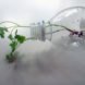 bottle planters, recycled bottle planters, hanging planters, diy planters, how to make a bottle planter, soda bottle planter, recycled materials, green gardening, eco gardening
