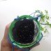 bottle planters, recycled bottle planters, hanging planters, diy planters, how to make a bottle planter, soda bottle planter, recycled materials, green gardening, eco gardening