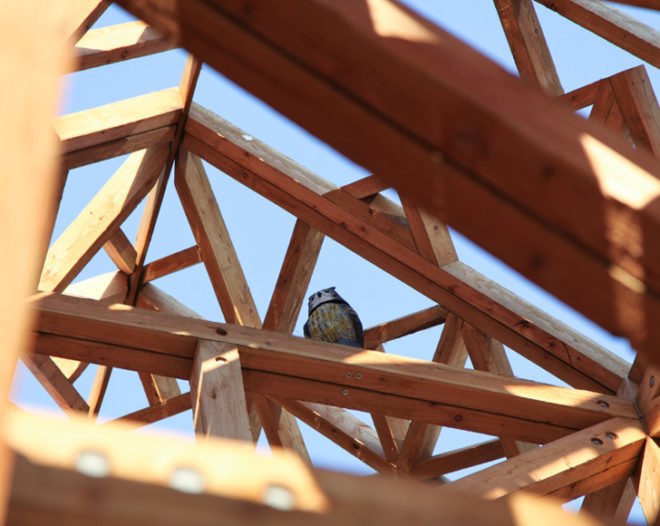 Geoffrey Chaucer, Paleys upon Pilers, timber, 2012, London, Olympic Games, green design, sustainable design, literature, eco-design, temporary design, Studio Weave