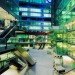 Parkview green fangcaodi, integrated design associates, arup, beijing, microclimate, glass pyramid, mixed-use development