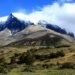 reforest patagonia, chilean forest, chile, forest, deforestation, wildfires, patagonia, forestry scheme, trees, google maps