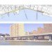 Pier 35, EcoPark, SHoP Architects, east river waterfront esplanade, landscape architecture, urban green space