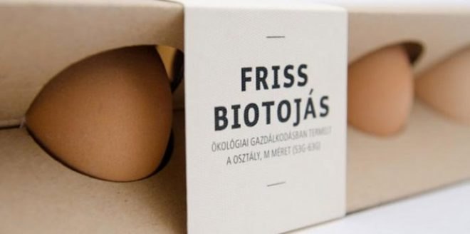 Otília Erdélyi, egg carton, cardboard design, envrionmentally friendly design, Moholy-Nagy University, simple design, redesign, egg box, cardboard egg box