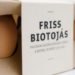 Otília Erdélyi, egg carton, cardboard design, envrionmentally friendly design, Moholy-Nagy University, simple design, redesign, egg box, cardboard egg box