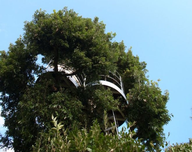 green design, eco design, sustainable design, treehouse, SABAOARCH, Kanagawa, Japan, Tree house, CLOUD, meditation room