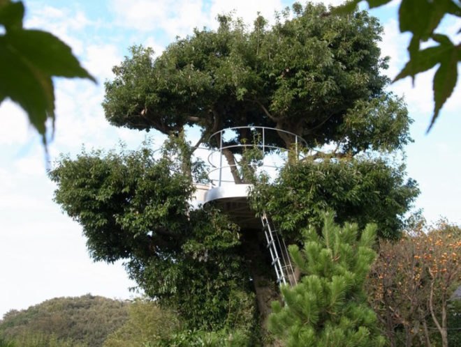 green design, eco design, sustainable design, treehouse, SABAOARCH, Kanagawa, Japan, Tree house, CLOUD, meditation room