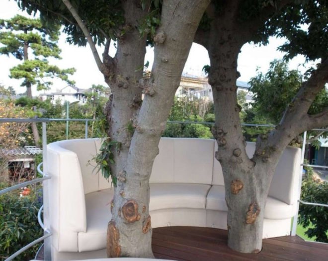 green design, eco design, sustainable design, treehouse, SABAOARCH, Kanagawa, Japan, Tree house, CLOUD, meditation room