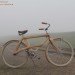 Sman Cruisers, Arnolt Van Der Sman, wood bicycle, green transportation, sustainable design, green bicycle, wood bike, sman bicycles