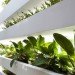 eco home, green wall, natural cooling, Vietnam daylighitng, urban home design,