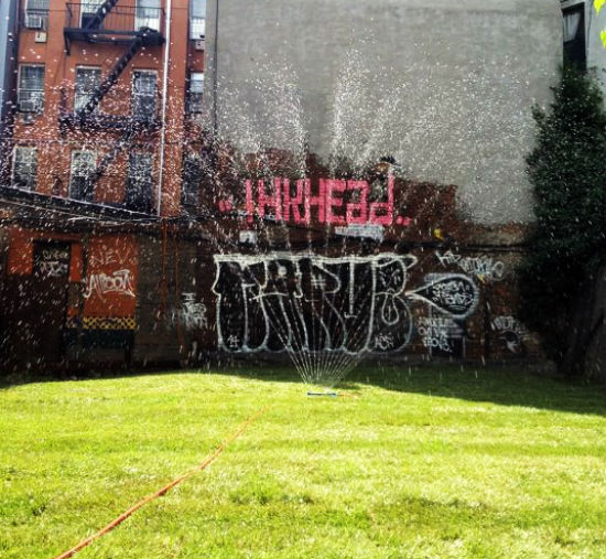 Timeshare Backyard, rent a backyard, new timeshare, lower east side timeshare, lower east side backyard, LES timeshare, LES backyard, green space, private backyard oasis, summer fun, summer backyard, backyard rental, participation agency, the participation agency