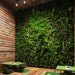 tori tori restaurant, Rojkind Arquitectos, green wall, living wall, sustainable design, green design, restaurant, mexico city, vertical garden, skylight, daylighting