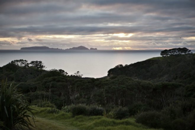 Tutukaka House, Crosson Clarke Carnachan, vacation home, beach home, eco home, daylighting, moveable shutters, new zealand