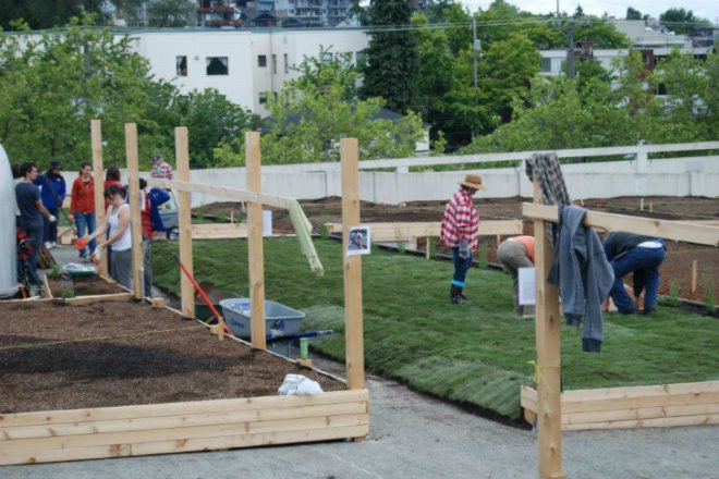 UPGarden P-Patch, upgarden, seattle, community garden, rooftop garden, rooftop farm, parking garage