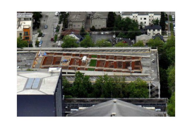 UPGarden P-Patch, upgarden, seattle, community garden, rooftop garden, rooftop farm, parking garage
