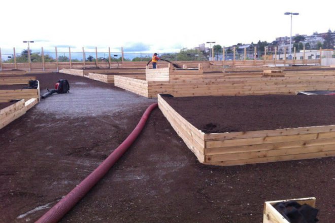 UPGarden P-Patch, upgarden, seattle, community garden, rooftop garden, rooftop farm, parking garage