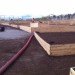 UPGarden P-Patch, upgarden, seattle, community garden, rooftop garden, rooftop farm, parking garage