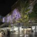Studio 505, Brisbane, Wintergarden, facade, Australia,