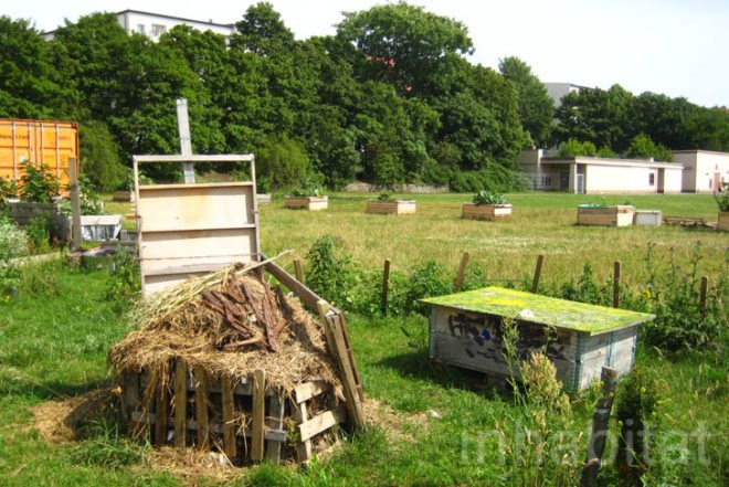 Lernort Natur, Youth Living in the Neighborhood, gGmbH, Global eV, tempelhof, education, children, kids, nature, nature elements, solar panels, recycled shipping containers, Prefab Housing, social design, Recycling / Compost, Botanical, Green Materials, energy efficiency,