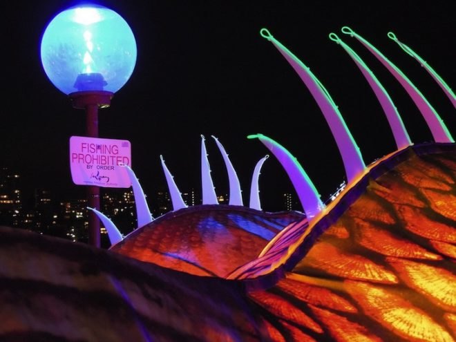 Follow the current, Sydney, Australia, anglerfish, Group D, creative collective, design, art, light, custom-made design, green design, sustainable design, eco-design, bicycles