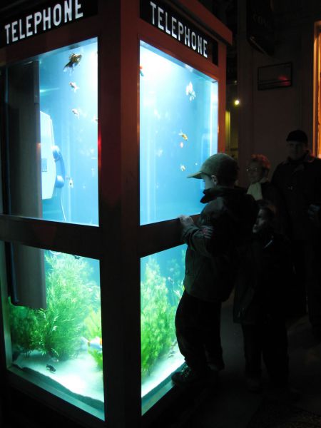 environment,design,culture,fish,food,art,climate change,recycle,cities,light,france,reuse,aquarium,cellphone,image of the day,benoit deseille,benedetto bufalino,festival of light,lyon,phone booth,good pets