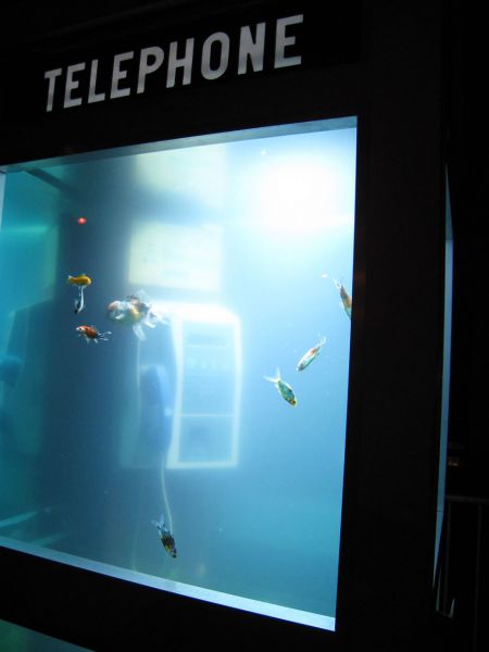environment,design,culture,fish,food,art,climate change,recycle,cities,light,france,reuse,aquarium,cellphone,image of the day,benoit deseille,benedetto bufalino,festival of light,lyon,phone booth,good pets
