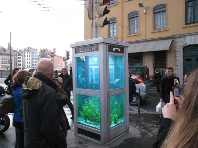 environment,design,culture,fish,food,art,climate change,recycle,cities,light,france,reuse,aquarium,cellphone,image of the day,benoit deseille,benedetto bufalino,festival of light,lyon,phone booth,good pets