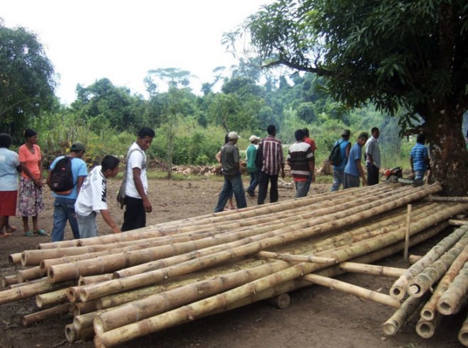 co2 bambu, green architecture, green design, bamboo houses, local materials, green building, sustainable building, green building, renewable materials, green materials, renewable bamboo, bamboo architecture
