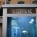 environment,design,culture,fish,food,art,climate change,recycle,cities,light,france,reuse,aquarium,cellphone,image of the day,benoit deseille,benedetto bufalino,festival of light,lyon,phone booth,good pets