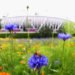 2012 Olympics, London Olympics, Summer Olympics, Olympic Stadium, London Olympic Park
