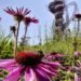 2012 Olympics, London Olympics, Summer Olympics, Olympic Stadium, London Olympic Park