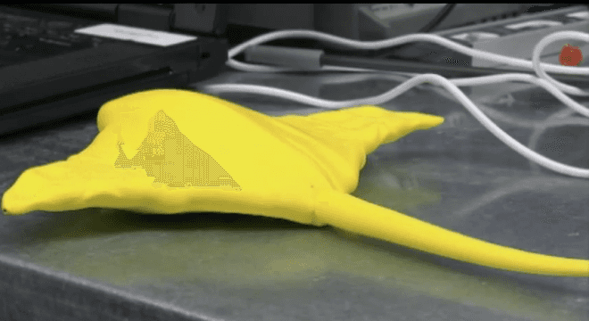 mantabot, underwater autonomous vehicle, ray, university of virginia, robot, cownose ray