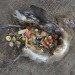 midway film, chris jordan, pacific patch, environmental documentary, garbage patch, albatross impact, kickstarter campaign, green design, sustainable design