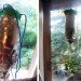 bottle planters, recycled bottle planters, hanging planters, diy planters, how to make a bottle planter, soda bottle planter, recycled materials, green gardening, eco gardening