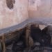 Luke Skywalker's home, Star Wars, Tatooine, Tunisia, Lars Homestead, Save Lars