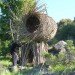 Spirt Nest, human nest, nest, Jayson Fann, Big Sur, Pacific Ocean, California, natural materials, local materials, sustainable materials, treehouse, green design, sustainable design, eco-design, nature
