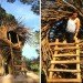 Spirt Nest, human nest, nest, Jayson Fann, Big Sur, Pacific Ocean, California, natural materials, local materials, sustainable materials, treehouse, green design, sustainable design, eco-design, nature