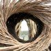 Spirt Nest, human nest, nest, Jayson Fann, Big Sur, Pacific Ocean, California, natural materials, local materials, sustainable materials, treehouse, green design, sustainable design, eco-design, nature