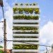 eco home, green wall, natural cooling, Vietnam daylighitng, urban home design,