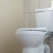toilet, low flow toilet, green toilet, low water toilet, efficient toilet