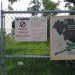 596 acres, greenthumb, the rockaways, vacant land, urban gardens, community organization, vacant lots, urban reknewal, urban blight , interactive map, community activism, public land