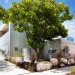 Earthcare, zero carbon, architecture, green building, eTool, Officer Woods, recycled materials, solar power, rainwater harvesting