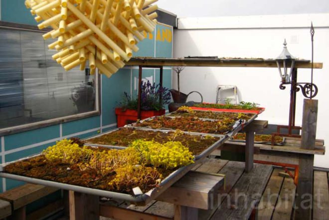 FAST, surf, The Hague, surfers villa, affordable accomodation, recycled containers, German bunker, Bunker Museum, green roof, Satelliet Groep, refunc, Prefab Housing, Vertical Garden, green sport, Recycled Materials, Green Holidays, surf