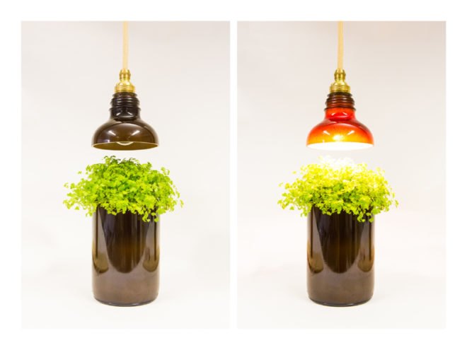 UTREM LUX, Glass Lamps, Recycled Bottle Lamps, DeGross Design & Innovation, recycled lamps, recycled materials, green materials, green lighting