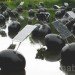 Alex Vermeulen, SOH19 States of Nature, floating eggs, floating solar panels, energy self-sufficient, Eindhoven, Buddha, Natuurkunst Foundation, University of Technology, Art, energy efficiency, Solar Power, Renewable Energy