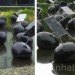 Alex Vermeulen, SOH19 States of Nature, floating eggs, floating solar panels, energy self-sufficient, Eindhoven, Buddha, Natuurkunst Foundation, University of Technology, Art, energy efficiency, Solar Power, Renewable Energy